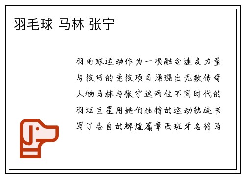 羽毛球 马林 张宁